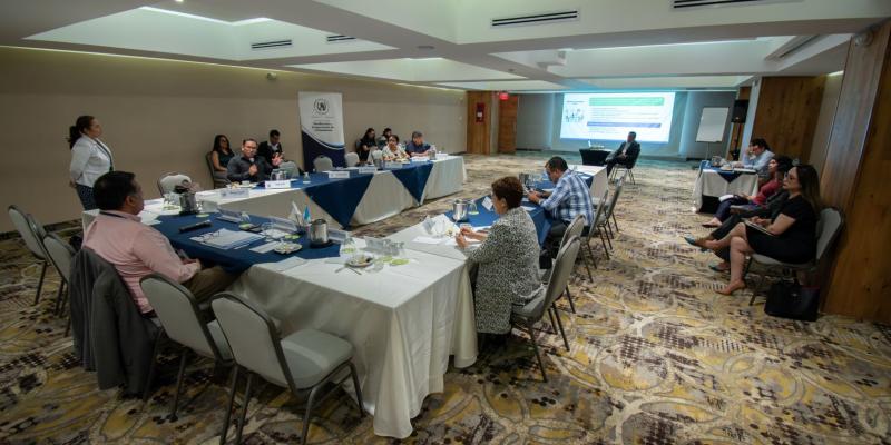 Primera reunión ordinaria de la comisión de trabajo del Conadur. 