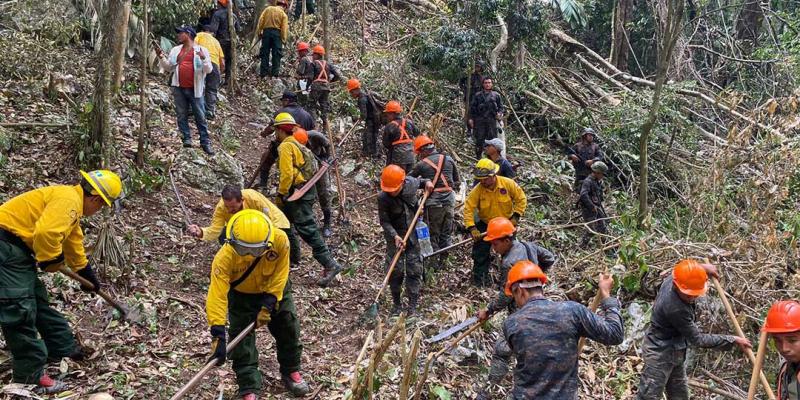 Mantienen acciones para prevenir incendios forestales en Petén