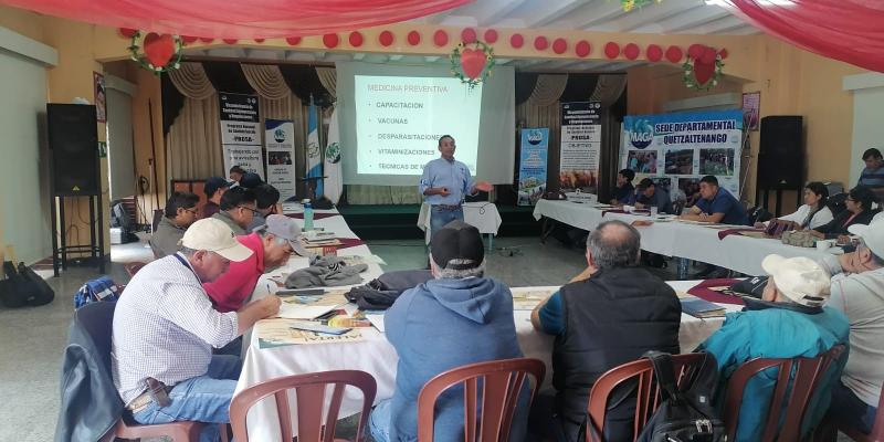 Plan profiláctico para proteger la avicultura familiar