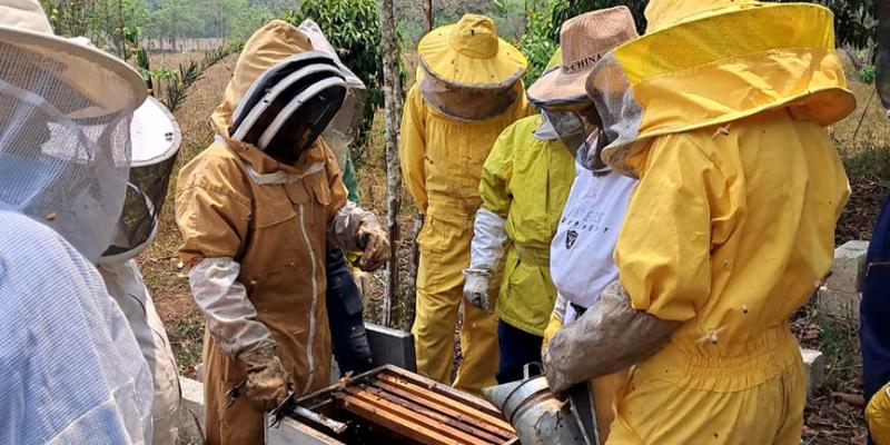 Productores de miel de Petén fortalecen sus capacidades y conocimientos