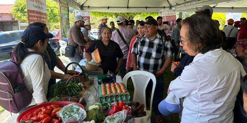Productores buscan ser proveedores de alimentos a escuelas