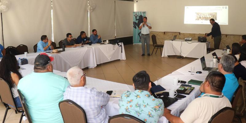 Promueven prácticas de ganadería sostenible en Petén