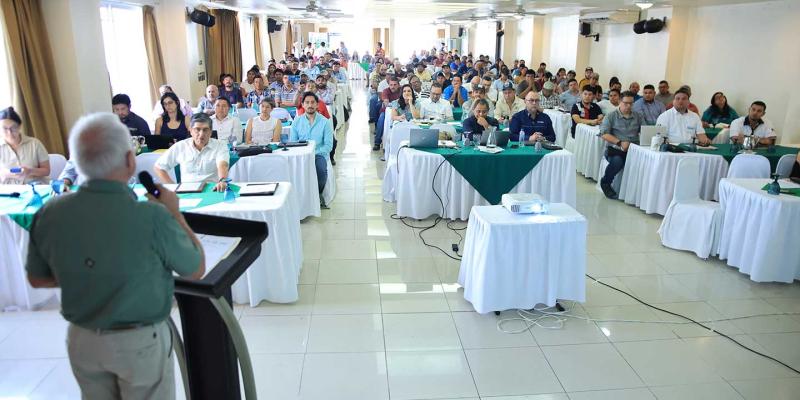 Promueven ganadería sostenible y rentable en Petén