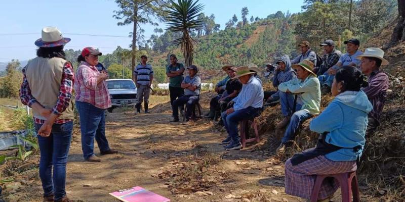Promueven uso de abono orgánico en Sumpango, Sacatepéquez