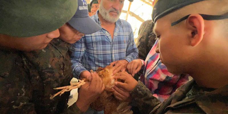 Soldados reciben capacitación sobre temas avícolas en Petén