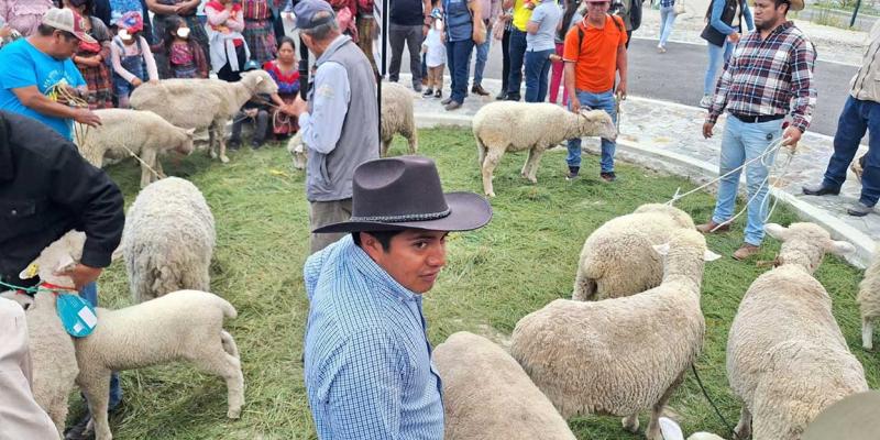 Totonicapán celebra el festival del cordero