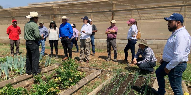 MAGA y USAC intercambian experiencias en producción agropecuaria