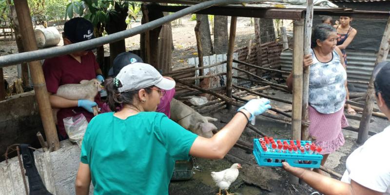Veterinarios realizan jornada de salud animal en Escuintla