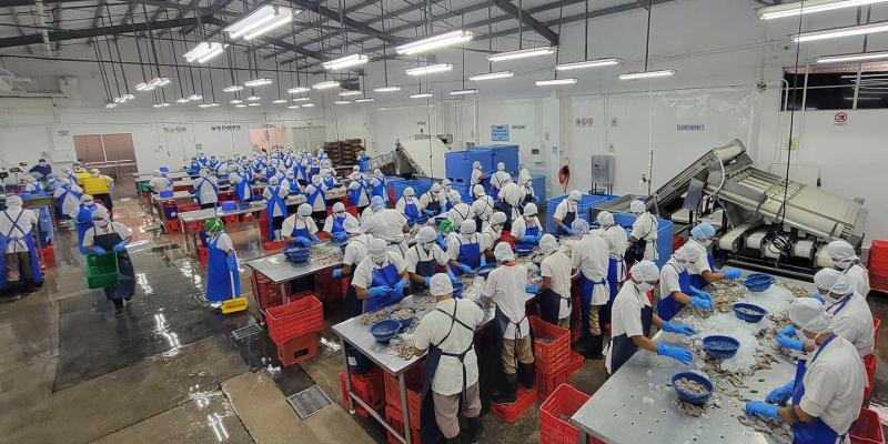 Visitan plantas de cultivo y procesamiento de camarón