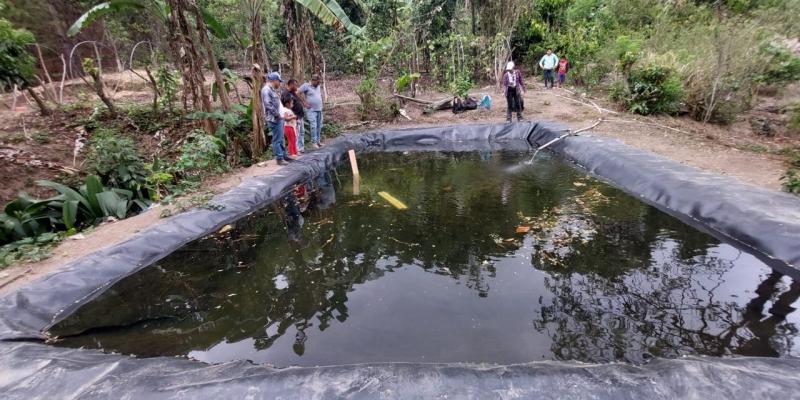 Conozca cómo capacitarse para hacer Acuicultura Familiar