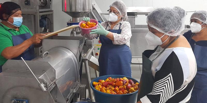 Jocote de marañón: base del emprendimiento para mujeres de San Juan Alotenango, Sacatepéquez