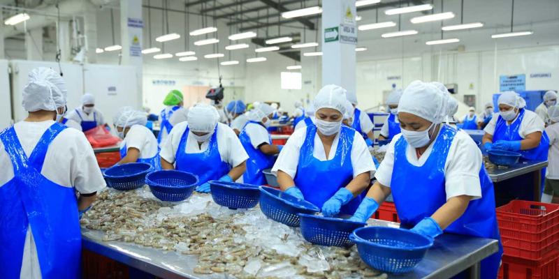 Delegación brasileña concluye evaluación de sistemas de inspección de camarón