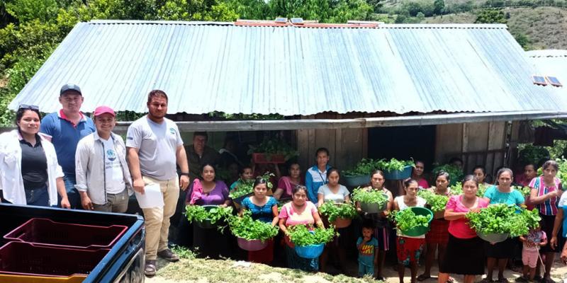 Entregan pilones de hortalizas en Melchor de Mencos
