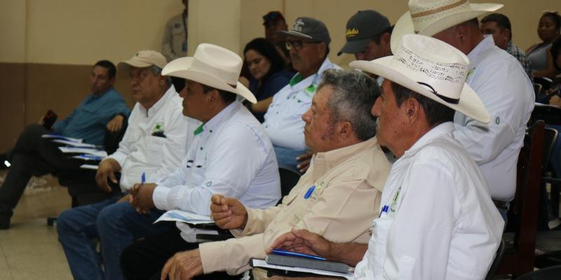 Ganaderos de Petén fortalecen conocimientos en manejo y prevención de plagas