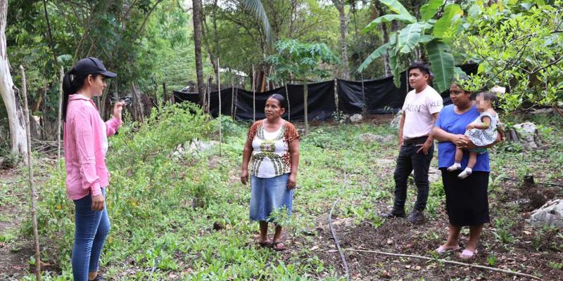 Huertos Familiares la ruta para alcanzar la autosuficiencia alimentaria