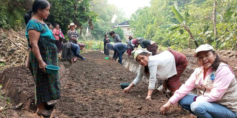 Implementación de huerto comunal promueve el desarrollo en caserío de Huehuetenango