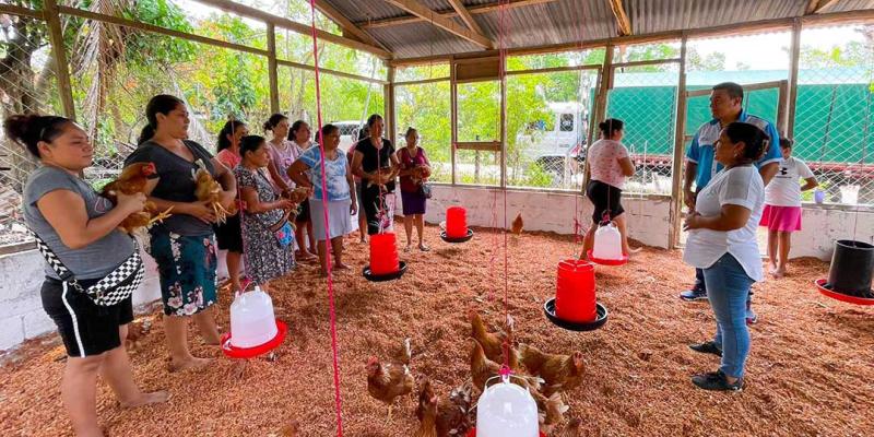 Mujeres construyen galpón para gallinas de postura