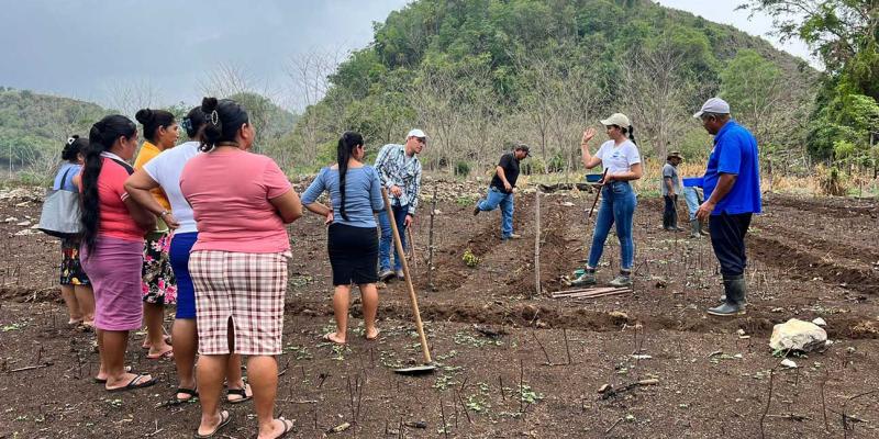 Promueven parcelas demostrativas en Poptún