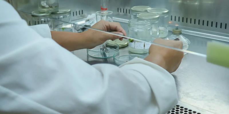 Senacyt abre oportunidad para financiar investigación y proyectos científicos-tecnológicos en Guatemala