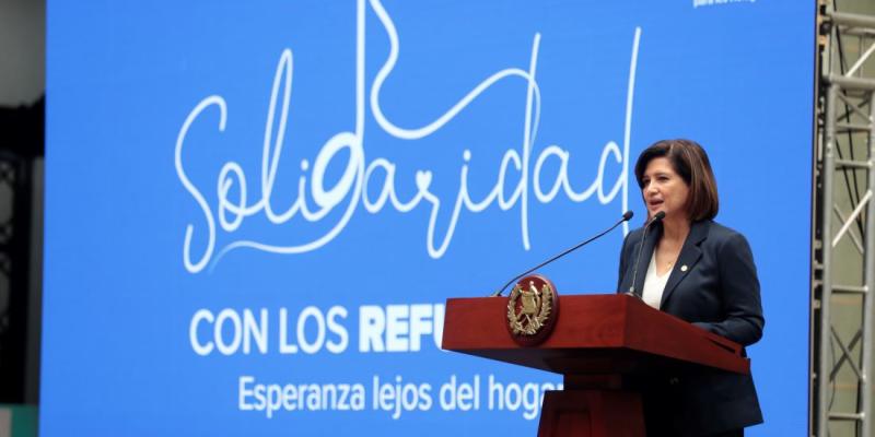 Vicepresidenta Karin Herrera