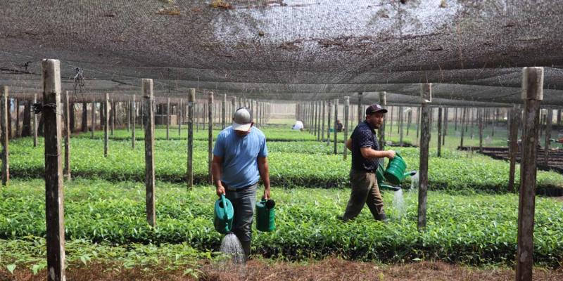 Impulsan gestión sostenible de los recursos naturales en Petén