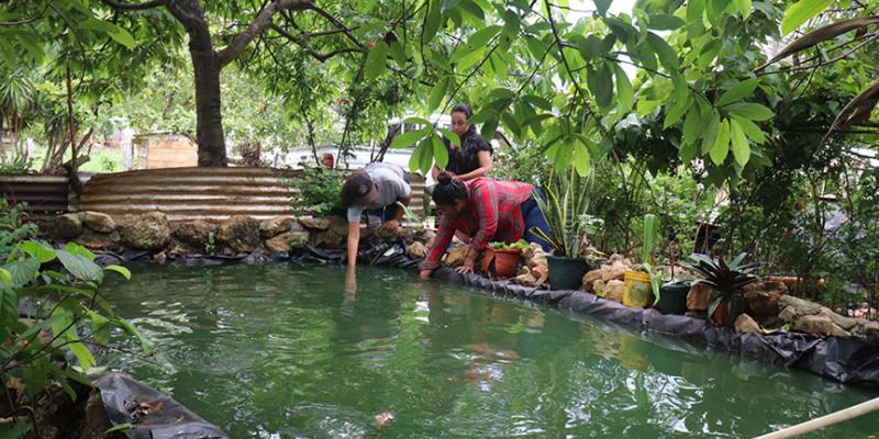 De una pila a ocho estanques de tilapia