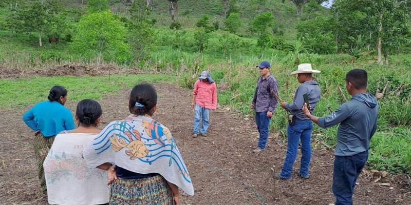 Desarrollan parcela demostrativa en San Luis