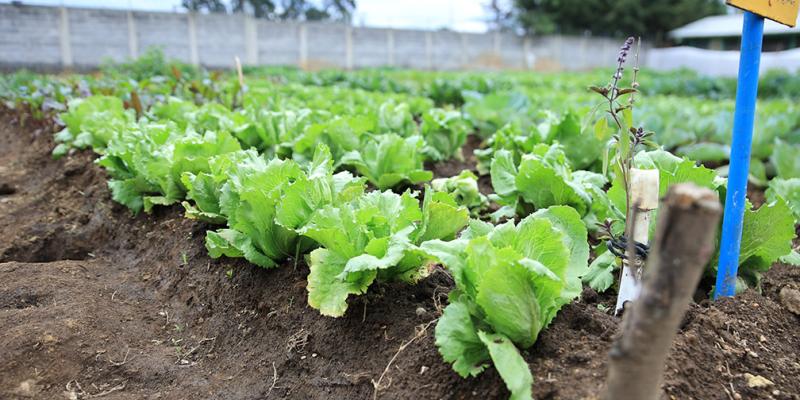 Disminuyen lluvias en algunos departamentos del país