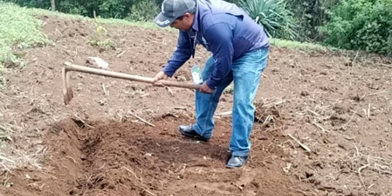 En San Marcos aprenden de agricultura orgánica