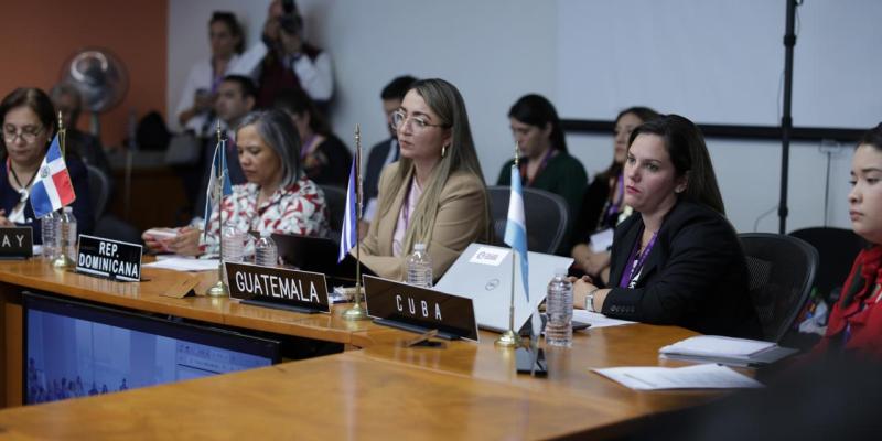 Nancy Mireya Melgar Alvarado, de la Dirección de Gestión, Negociación y Contratación de Cooperación para el Desarrollo de SEGEPLAN fue la representante de Guatemala.