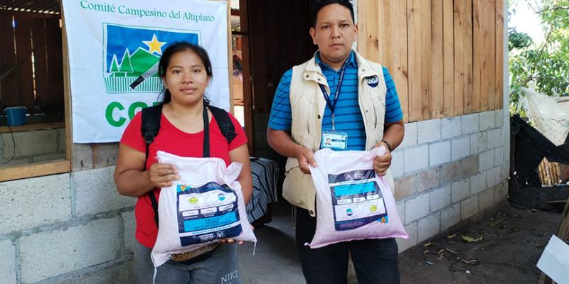 Entregan semillas de maíz en Suchitepéquez