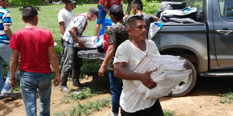 Familias agricultoras de Panzós reciben semillas de maíz