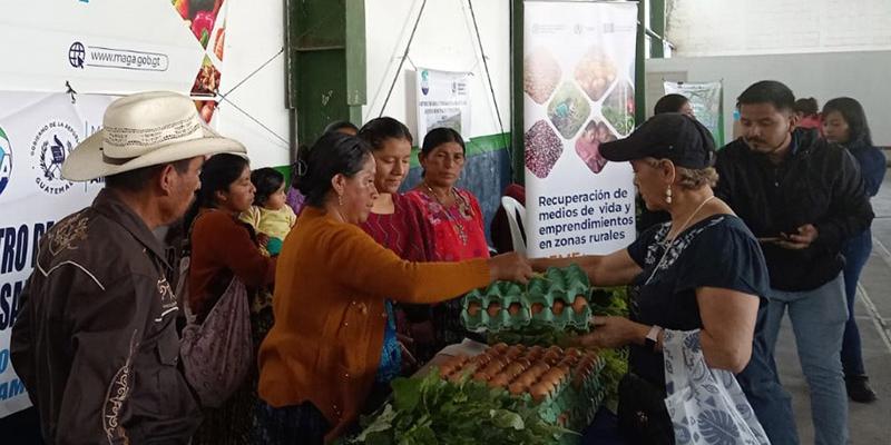 Ferias del Agricultor reúnen a 185 productores en Izabal, Alta Verapaz y Suchitepéquez
