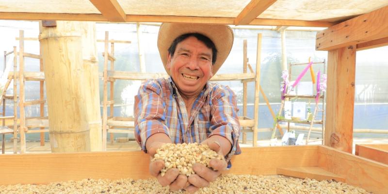 Fortalecen la cadena de valor del café