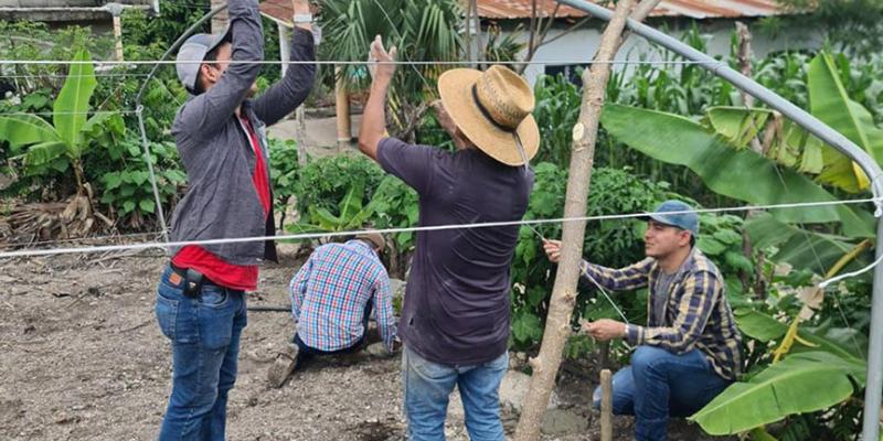 Producción de cultivos en condiciones controladas