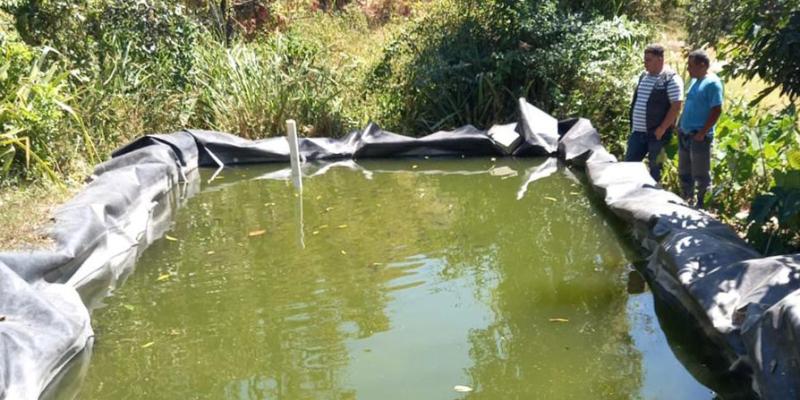 Productores de tilapia reciben apoyo para comercializar sus productos