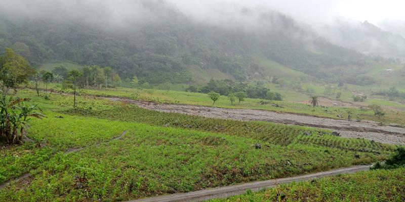 Recomendaciones para el sector agropecuario ante las lluvias