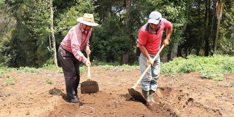 Territorios agrícolas pueden experimentar condiciones asociadas a la canícula