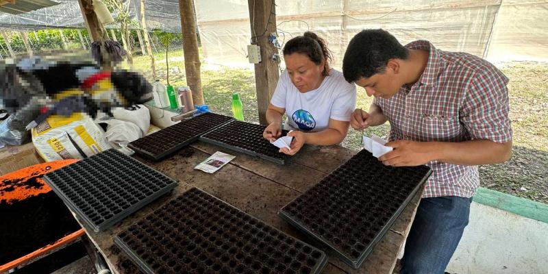 Trabajan para producir 40 mil pilones de hortalizas