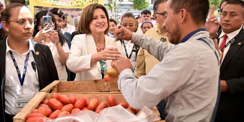 Vicepresidenta Karin Herrera