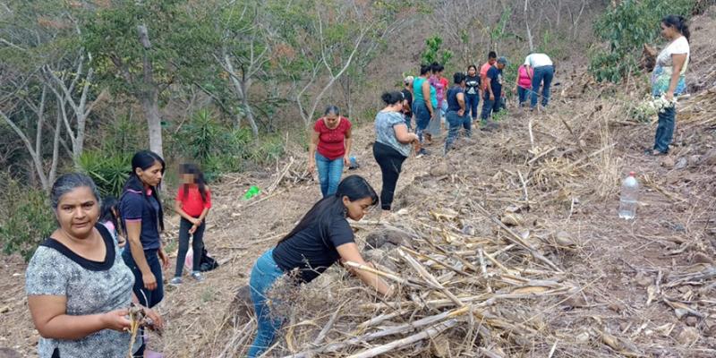 La conservación de los suelos mejora la producción agrícola