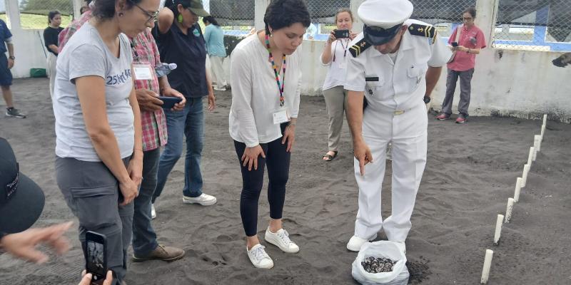 Convención Interamericana para la Protección y Conservación de las Tortugas Marinas visitó el tortugario del Comando Naval del Pacífico