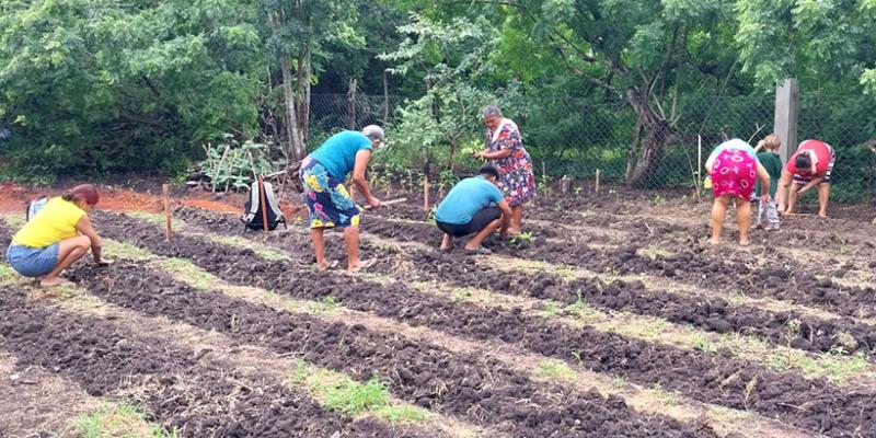 Agricultoras peteneras reciben asistencia técnica