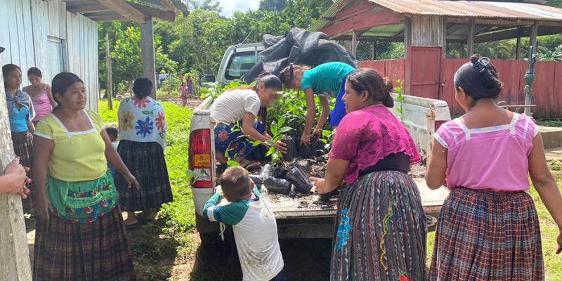 Avanza la educación agroforestal en Petén