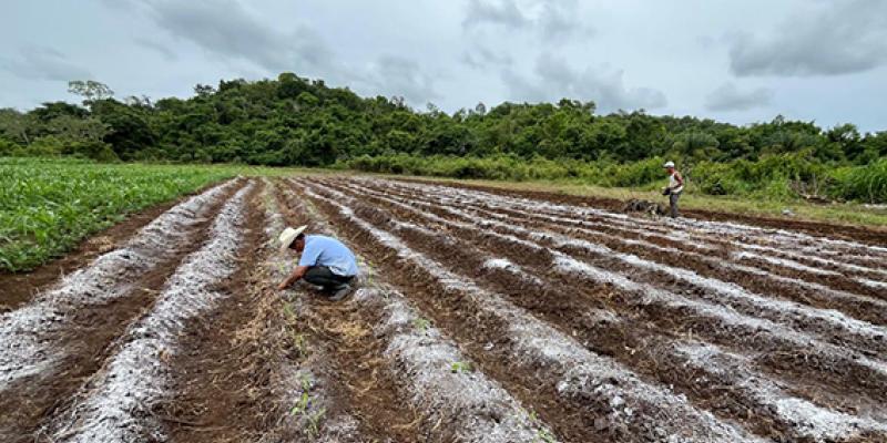 Brindan asistencia técnica en La Libertad, Petén
