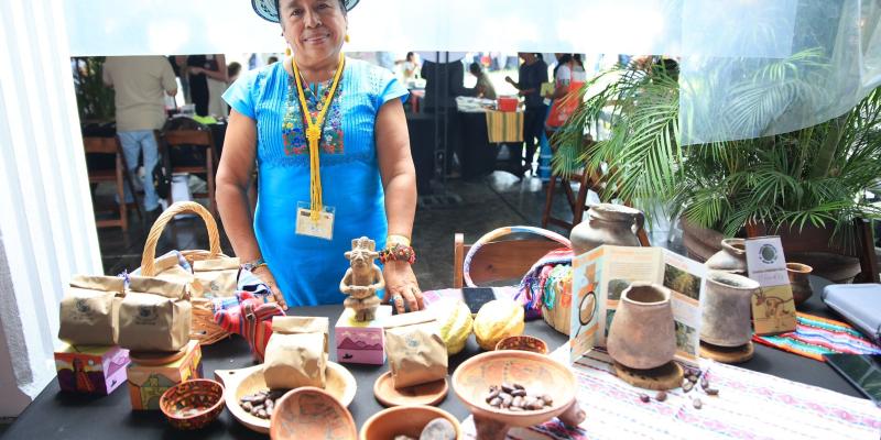Cacao propicia desarrollo económico  en la región