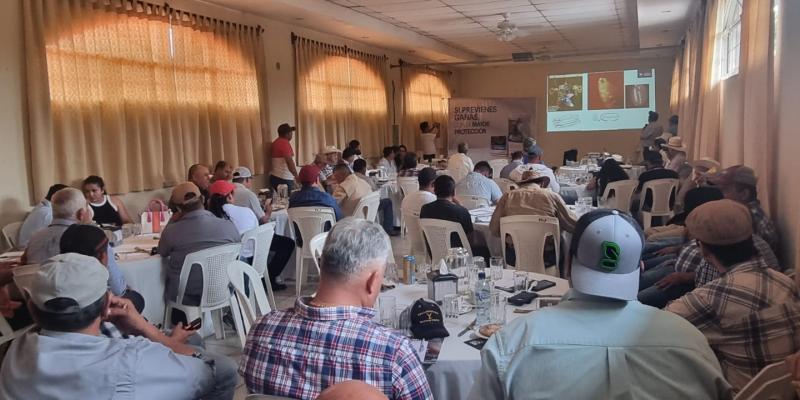  Coordinan acciones para control del gusano barrenador