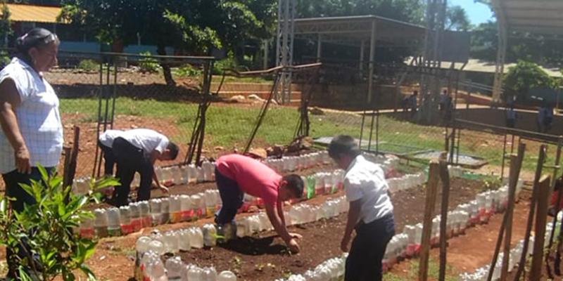 En Santa Rosa implementan huertos escolares