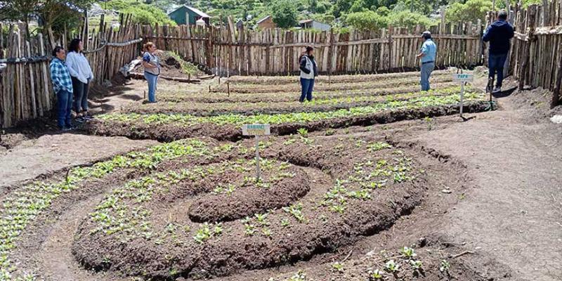 Estudiantes y docentes de Chiantla fortalecen conocimientos en agricultura sostenible