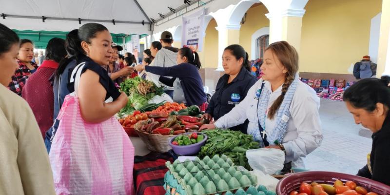 Feria del Agricultor la ventana de la Agricultura Familiar